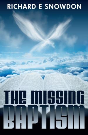 Cover of the book The Missing Baptism by Jim Brissey