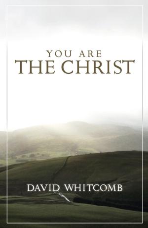 Cover of the book You Are the Christ by Kate Hanscom