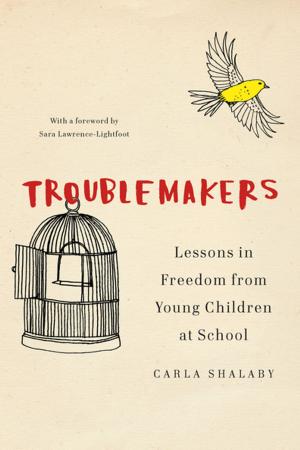 Cover of the book Troublemakers by Peter Edelman