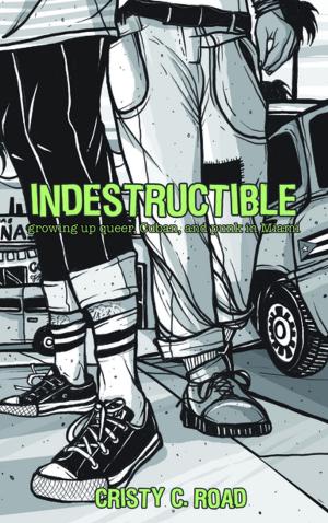 Cover of the book Indestructible by Bill Brown