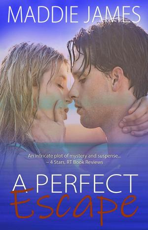 Cover of the book A Perfect Escape by Brent Peacock