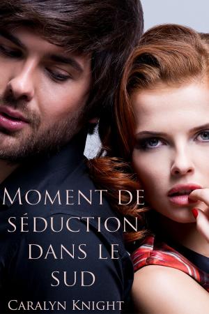 Cover of the book Moment de séduction dans le sud by Patricia Holden