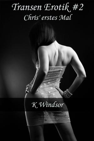 Cover of the book Transen Erotik #2 by K Windsor