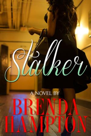 Cover of the book Stalker by Anna J.