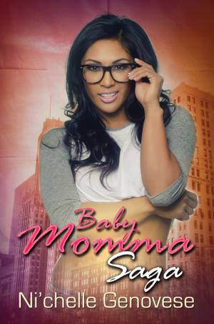 Book cover of Baby Momma Saga