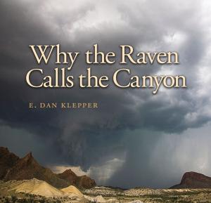 bigCover of the book Why the Raven Calls the Canyon by 