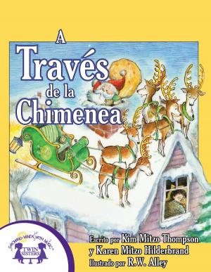 Book cover of A Través de la Chimenea