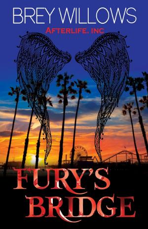 Cover of the book Fury's Bridge by D. Jackson Leigh