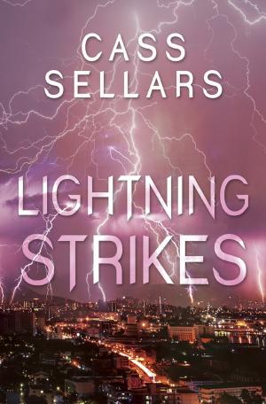 Cover of the book Lightning Strikes by Dena Blake