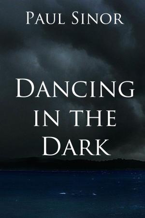 Cover of the book Dancing in the Dark by Kristin Durfee