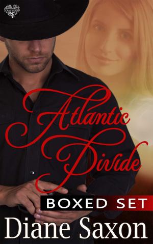 Cover of the book Atlantic Divide Boxed Sex by Amelia Shea