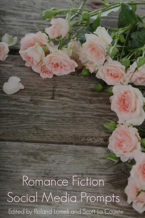 Cover of Romance Fiction Social Media Prompts For Authors