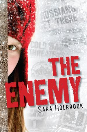 Cover of the book The Enemy by Vicky Alvear Shecter