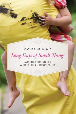 Cover of the book Long Days of Small Things by Linda Dillow