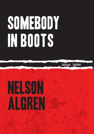Cover of the book Somebody in Boots by Ilona Meagher