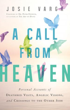 bigCover of the book A Call From Heaven by 