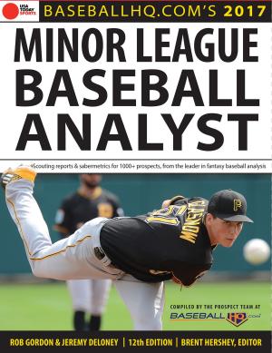 Book cover of 2017 Minor League Baseball Analyst