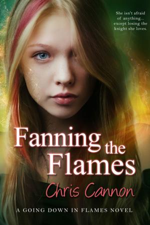 Cover of the book Fanning the Flames by Juliette Cross