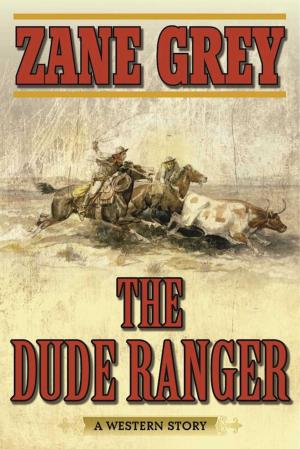 Cover of the book The Dude Ranger by Max Brand