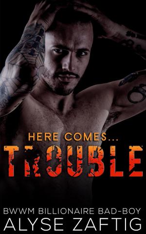 Cover of the book Trouble by Blake Feldman