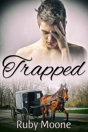 Cover of the book Trapped by R.W. Clinger