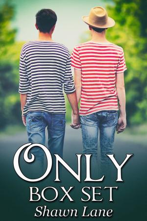 Cover of the book Only Box Set by J.T. Marie