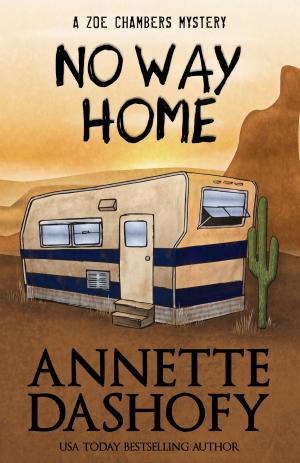Cover of the book NO WAY HOME by Gigi Pandian