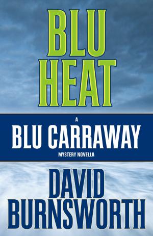 Cover of the book BLU HEAT: A Novella by Bourne Morris