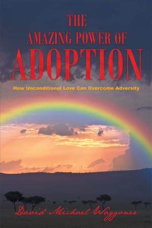 bigCover of the book The Amazing Power of Adoption by 