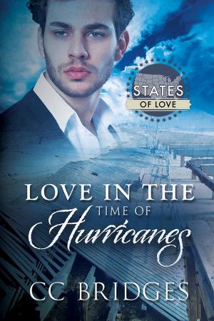 bigCover of the book Love in the Time of Hurricanes by 