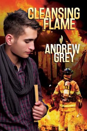 Cover of the book Cleansing Flame by Anne Barwell
