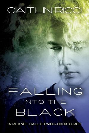 Cover of the book Falling Into the Black by Eric Arvin