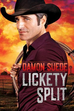 Cover of the book Lickety Split by M.J. O'Shea