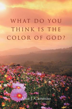 bigCover of the book What Do You Think is the Color of God? by 