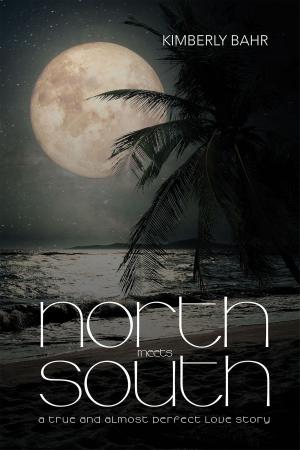 Cover of the book North Meets South by Zvi Yaniv, Debra L. Winegarten
