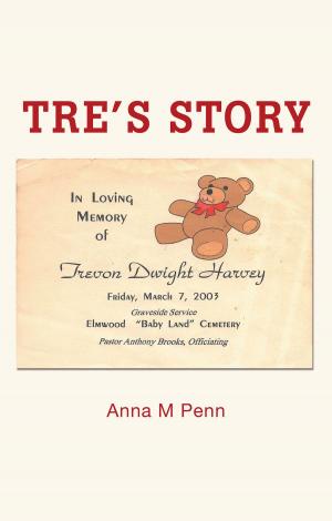 Cover of the book Tre's Story by Benjamin Sherman