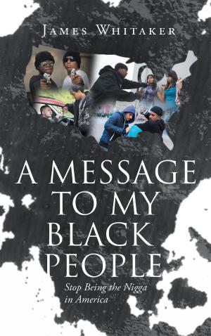 Cover of the book A Message to My Black People by David Allen