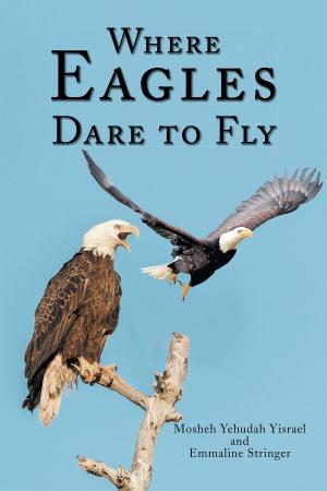 Cover of the book Where Eagles Dare to Fly by Katrina Parker Williams