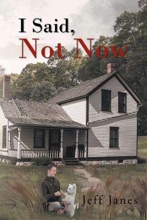Cover of the book I Said, Not Now by Cynthia L. Fitchett
