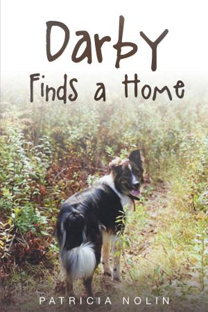 Cover of the book Darby Finds a Home by Lisa Renee