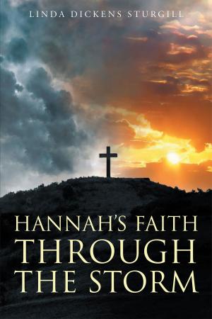 Cover of the book Hannah's Faith Through The Storm by DR. JOHN R. LEWIS, PHD, LCSW, CADC II, SAP, SAE