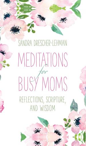 Cover of the book Meditations for Busy Moms by Kimberly Jackson