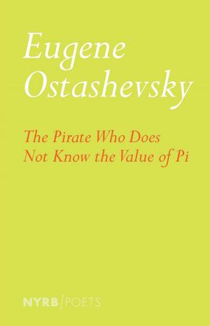 Cover of the book The Pirate Who Does Not Know the Value of Pi by Kurt Tucholsky