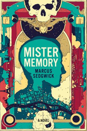 Cover of the book Mister Memory: A Novel by Sonia Faruqi