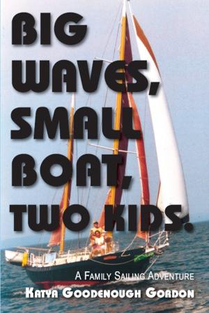 Cover of the book Big Waves, Small Boat, Two Kids by Mark Berriman