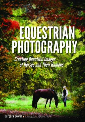 Cover of the book Equestrian Photography by Tiffany Wayne