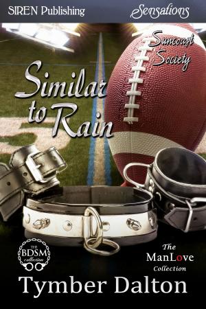 Cover of the book Similar to Rain by Tina Donahue
