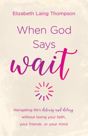 Book cover of When God Says "Wait"