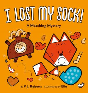 Cover of the book I Lost My Sock! by Jeff Kinney