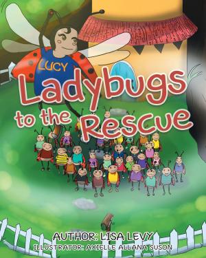 bigCover of the book Ladybugs to the Rescue by 
